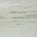 Load image into Gallery viewer, Linnea Sea Salt Reed Diffuser Kit