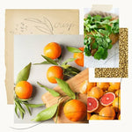 Load image into Gallery viewer, Mandarin Coriander Countertop Spray
