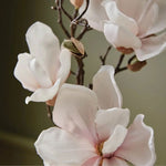 Load image into Gallery viewer, Magnolia Willow Hand Wash