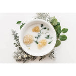 Load image into Gallery viewer, Kyte Baby Sea Sponge