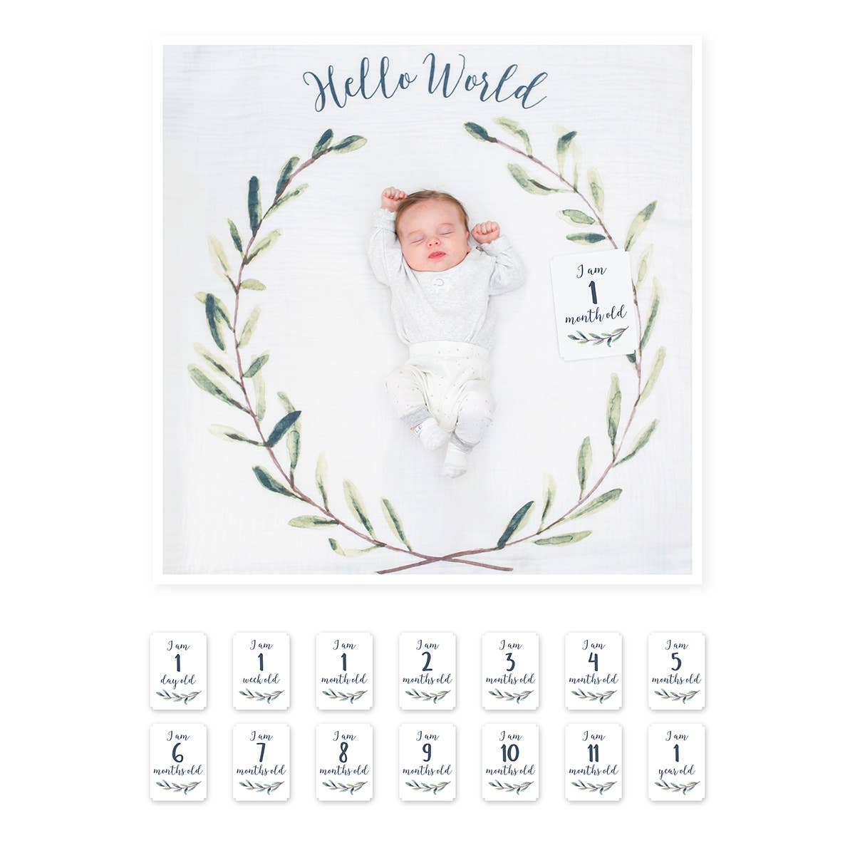 Baby's 1st Year Swaddle & Milestone Cards - Hello World