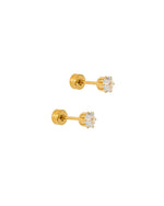 Load image into Gallery viewer, Screwback Stud Earrings - Helen Gold
