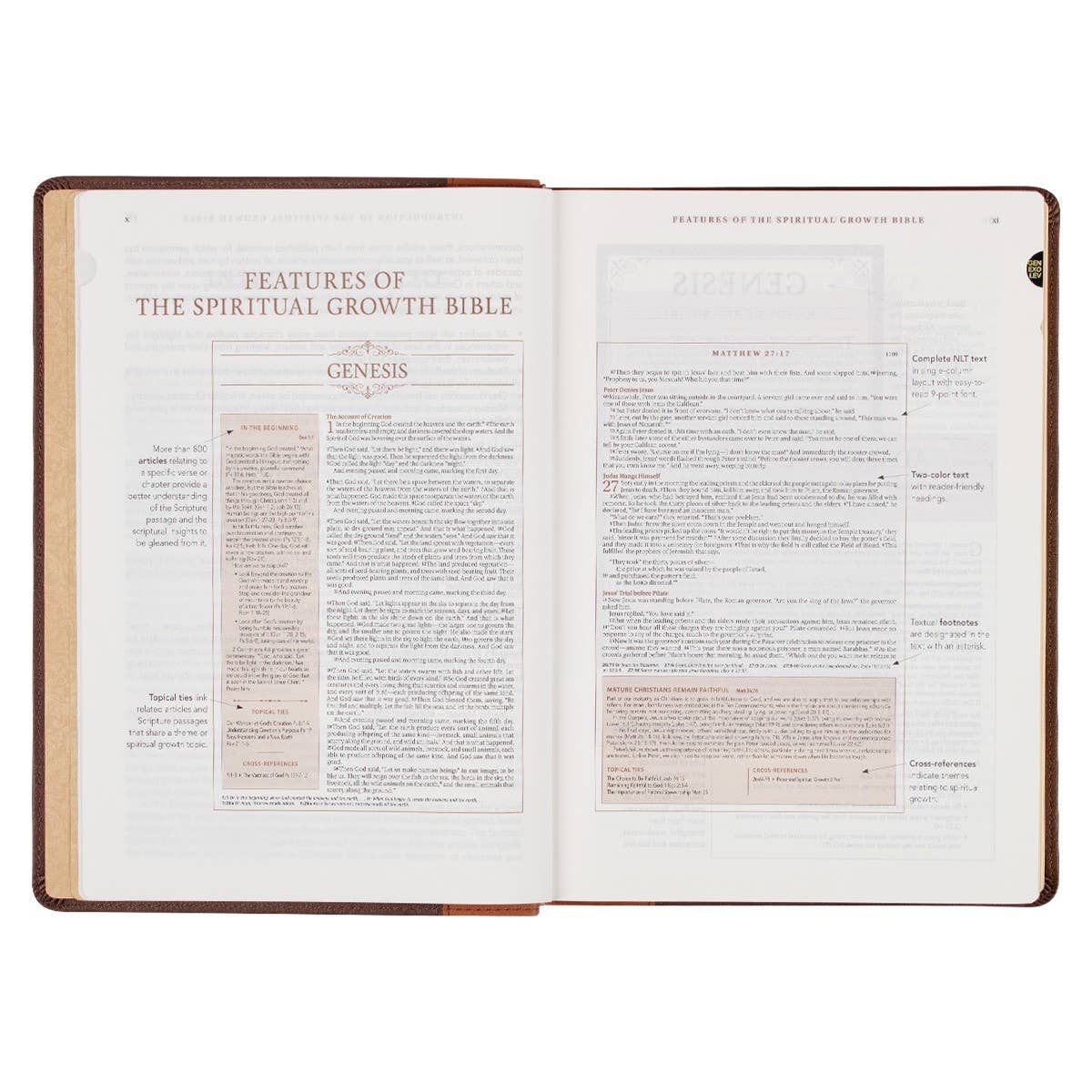 NLT, The Spiritual Growth Bible Faux Leather, Brown/Ginger