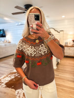 Load image into Gallery viewer, Mocha Embroidered Pumpkin S/S Sweater
