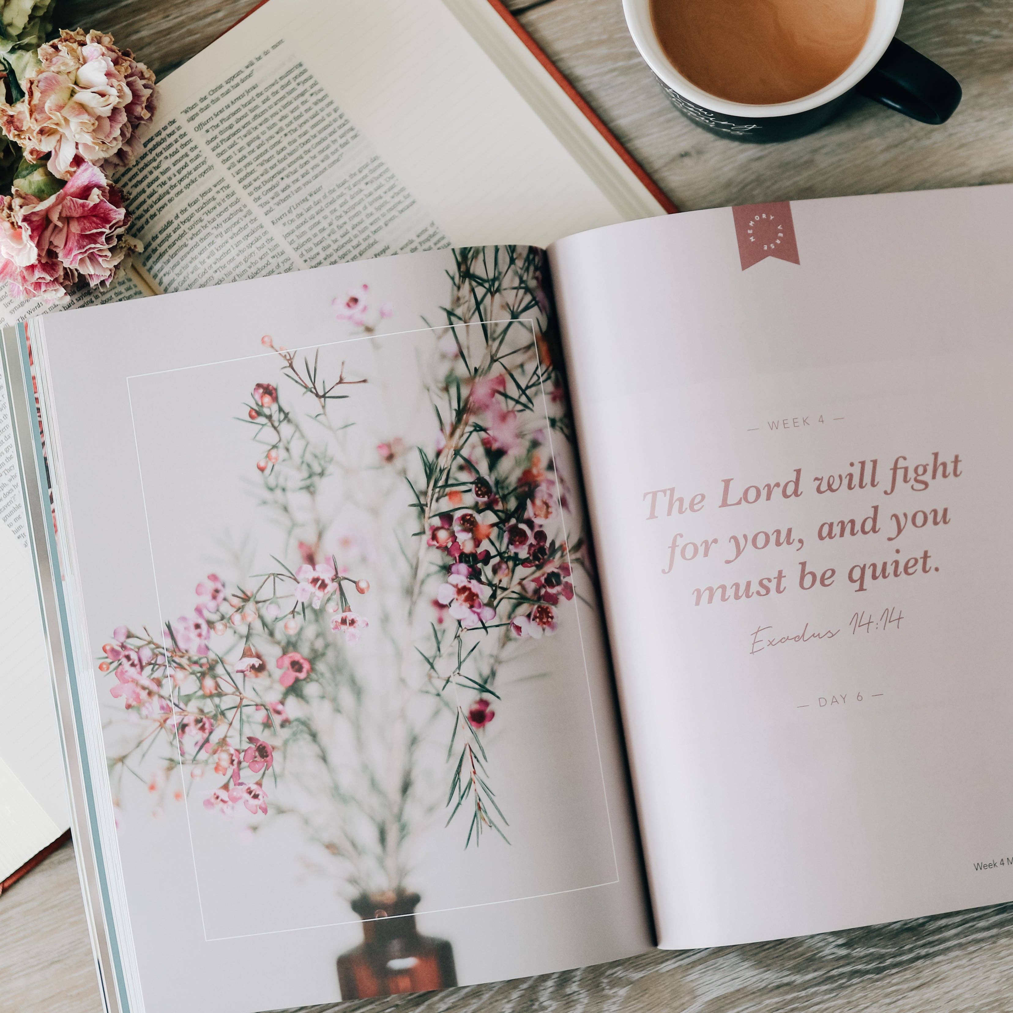 Faithful | Bible Study on the Covenants