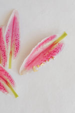 Load image into Gallery viewer, Screwback Stud Earrings - Daisy Cowgirl Boot
