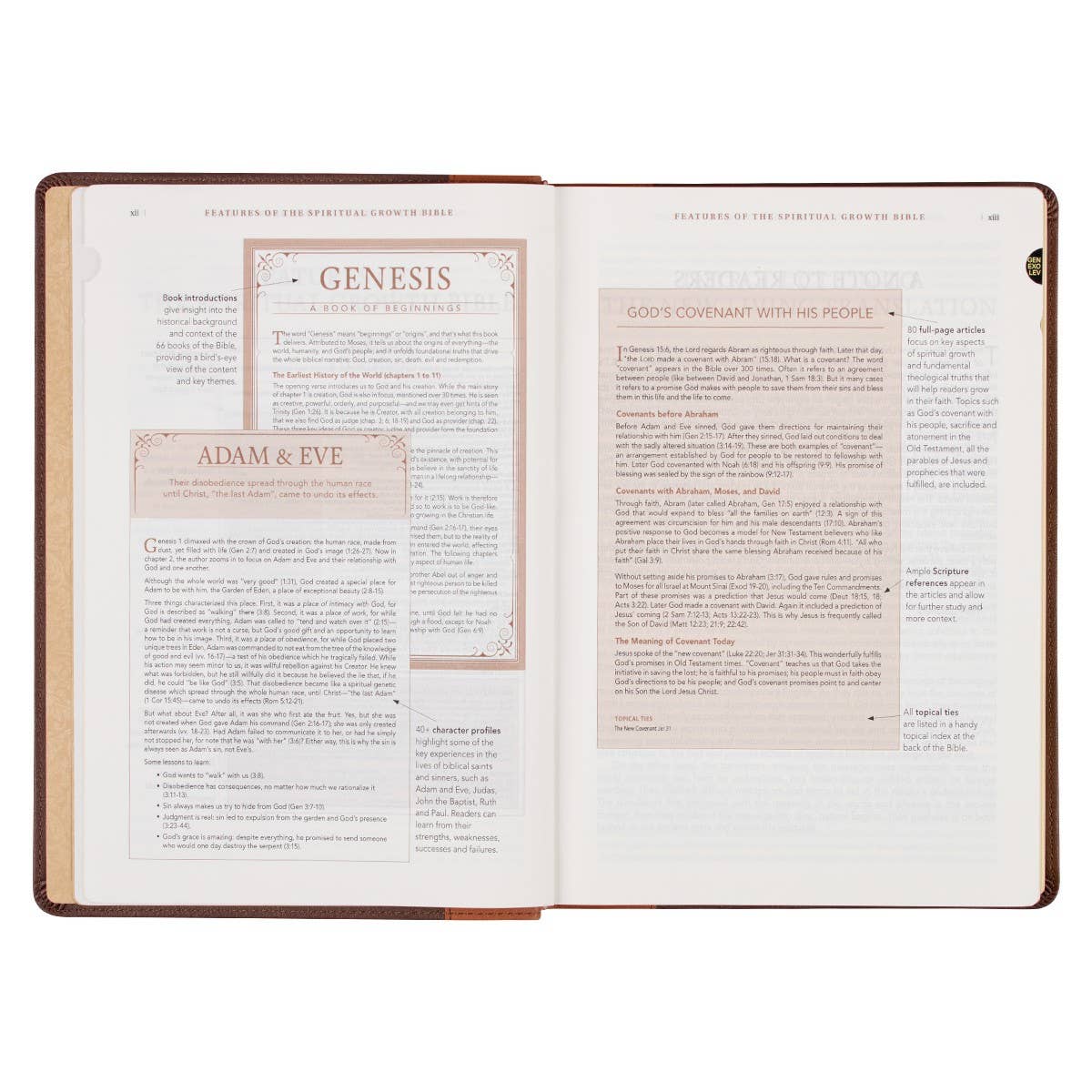 NLT, The Spiritual Growth Bible Faux Leather, Brown/Ginger