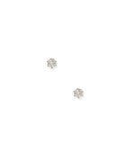 Load image into Gallery viewer, Screwback Stud Earrings - Micro Helen Gold
