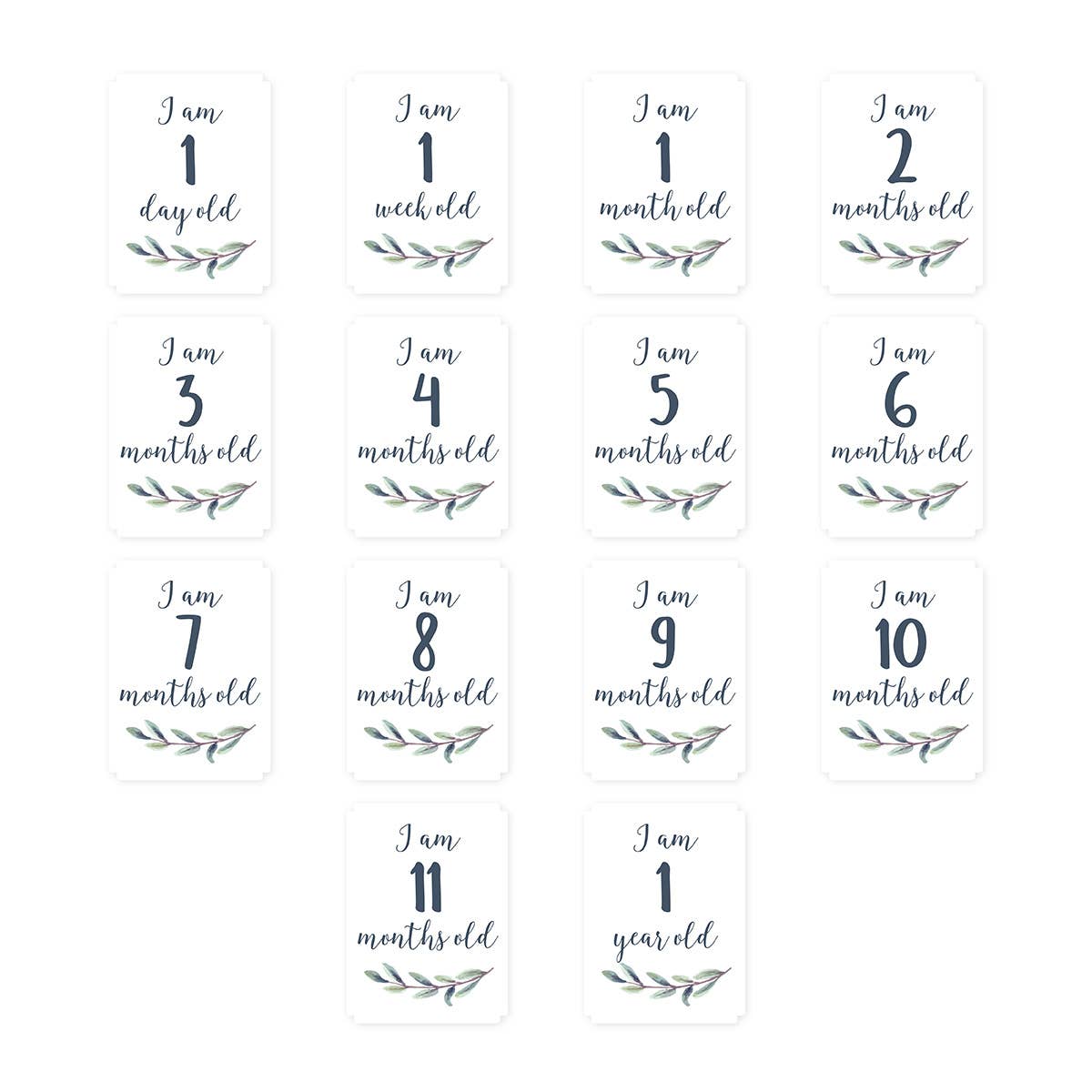 Baby's 1st Year Swaddle & Milestone Cards - Hello World
