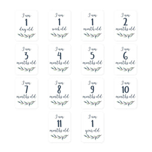 Baby's 1st Year Swaddle & Milestone Cards - Hello World