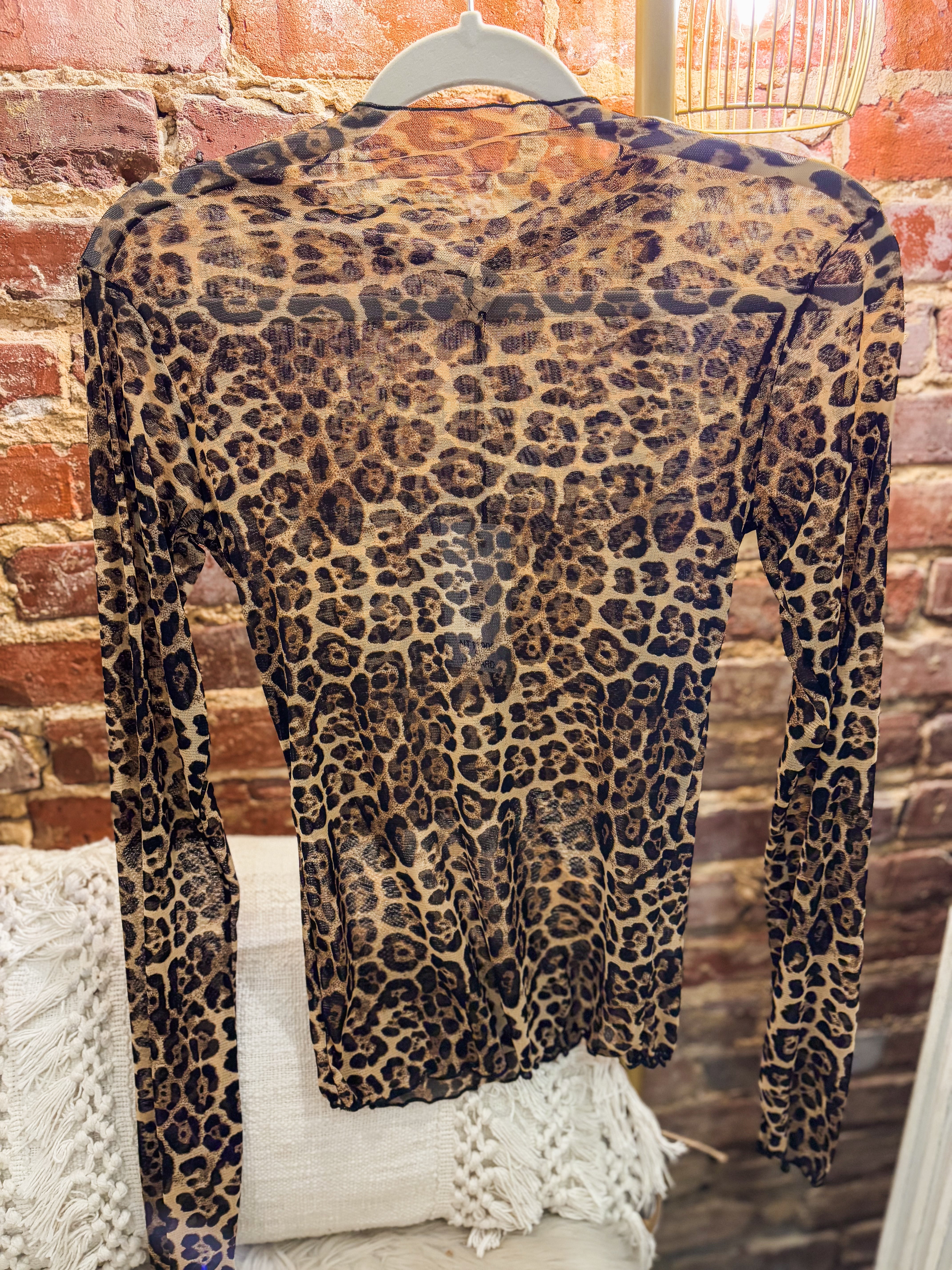 All I Wanted Leopard Basic Sheer L/S Top