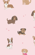 Load image into Gallery viewer, Angel Dear French Terry Best Friend Dogs Sweatshirt and Jogger Set
