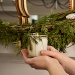 Load image into Gallery viewer, Frasier Fir Pine Needle Candle
