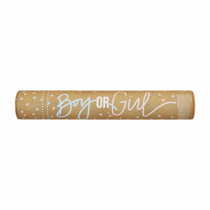 Mud Pie Blue Gender Reveal Popper