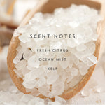 Load image into Gallery viewer, Linnea Sea Salt 2-wick Candle
