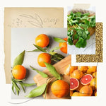 Load image into Gallery viewer, Mandarin Coriander Hand Wash
