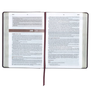 Devotional Bible NLT for Men Faux Leather Walnut Brown Cross