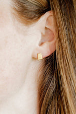 Load image into Gallery viewer, Screwback Stud Earrings - State of Alabama
