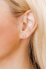 Load image into Gallery viewer, Screwback Stud Earrings - Polly Heart
