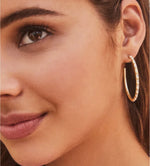 Load image into Gallery viewer, Veronica Gold Hoop Crystal Earrings
